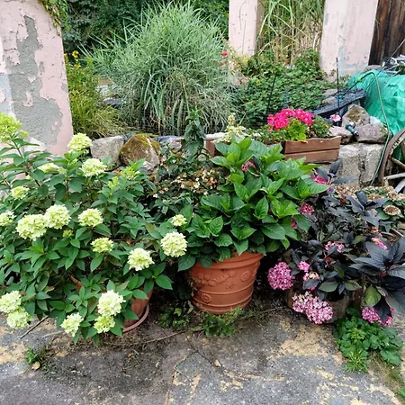 Sonnenhof Aldeamento Turístico *