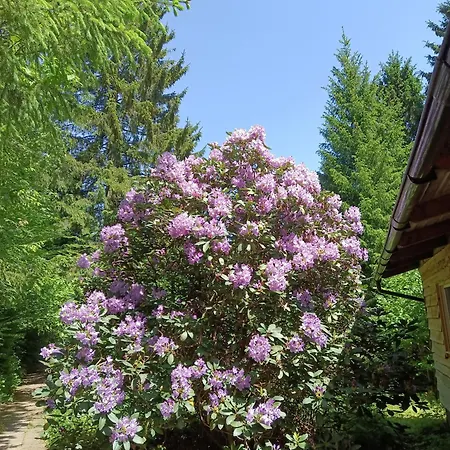 Sonnenhof