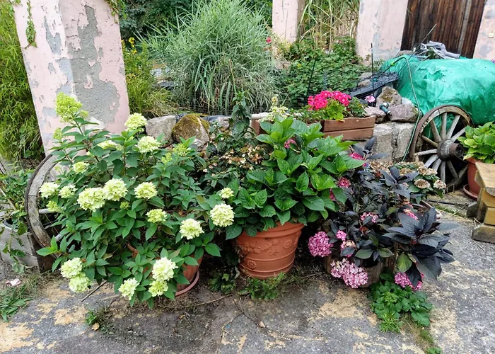 Sonnenhof Aldeamento Turístico *